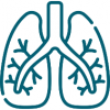 الرئة و الجهاز التنفسی